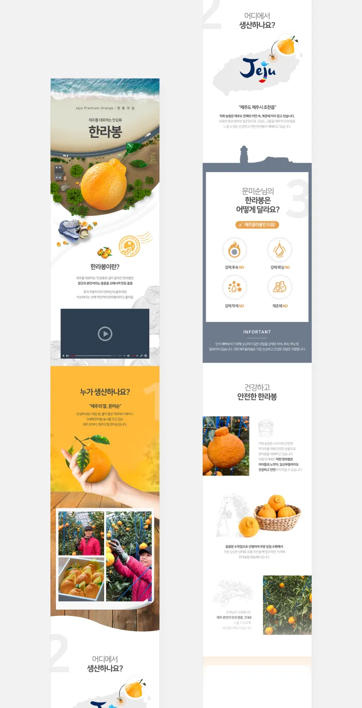농수산물 카테고리 디자인, 한라봉