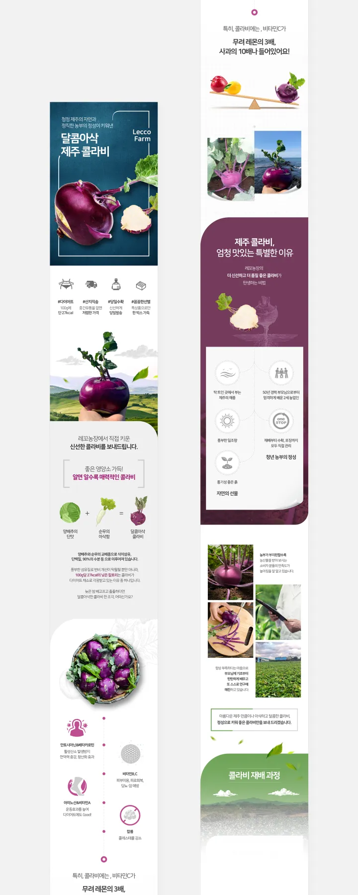 농수산물 카테고리 디자인, 콜라비