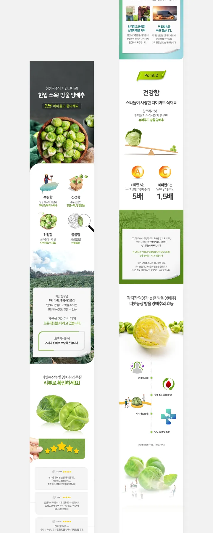 농수산물 카테고리 디자인, 방울양배추