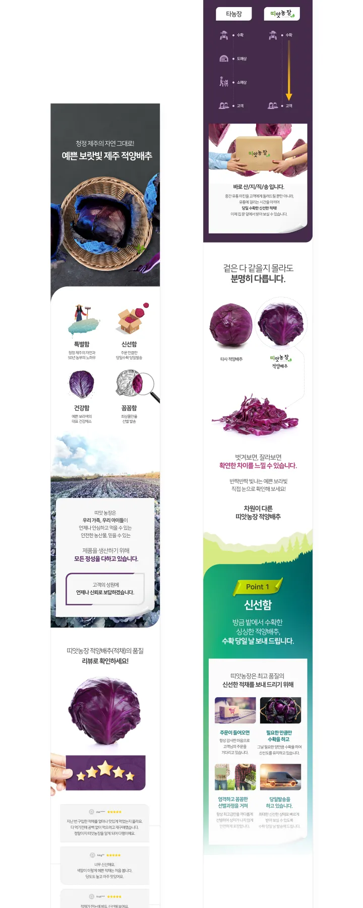 농수산물 카테고리 디자인, 적양배추