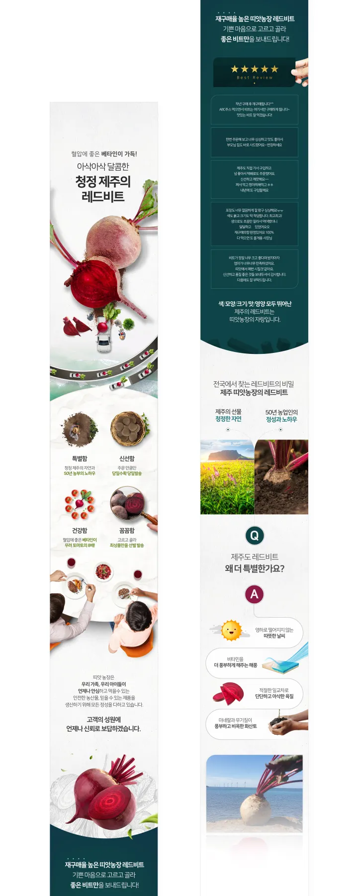 농수산물 카테고리 디자인, 디자인 레드비트