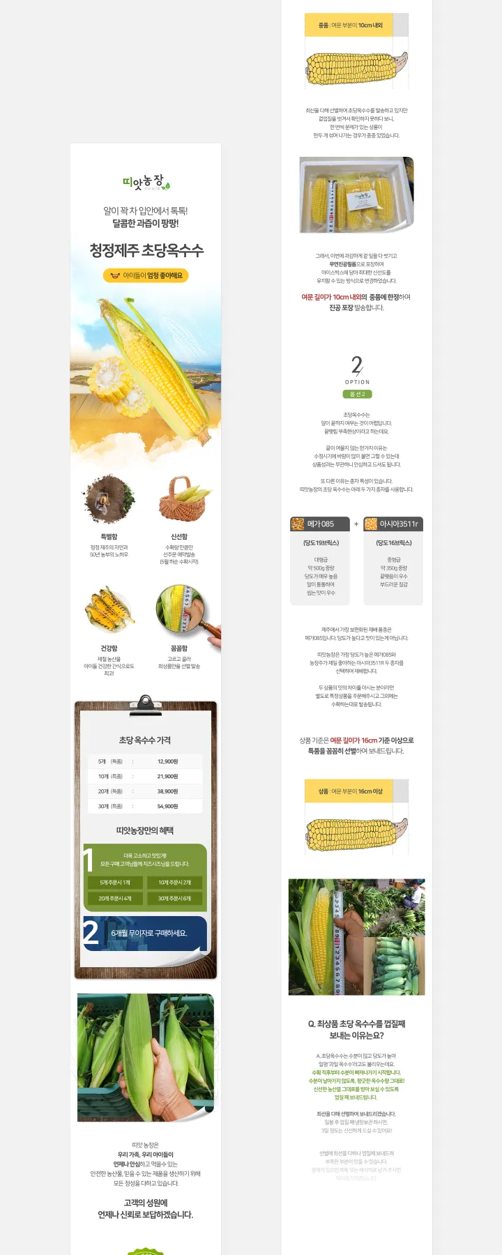 농수산물 카테고리 디자인, 초당옥수수