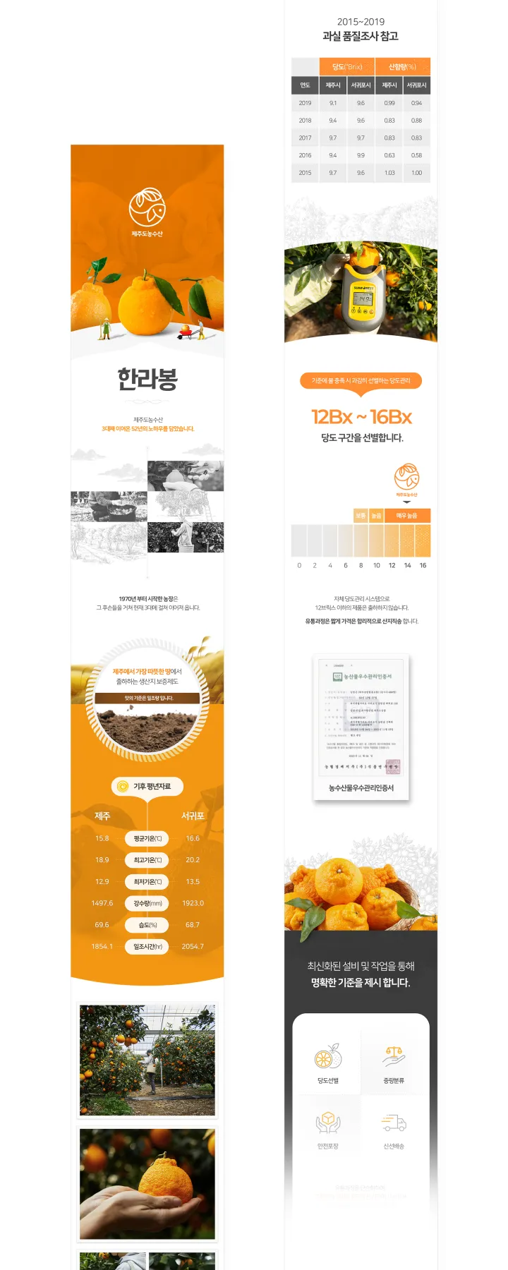 농수산물 카테고리 디자인, 제주도농수산 한라봉
