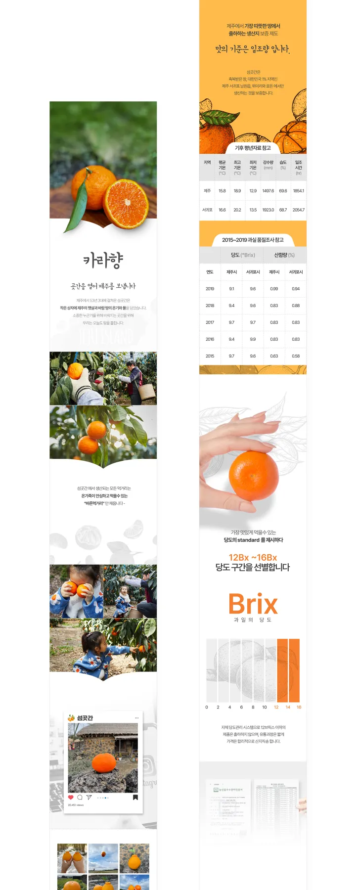 농수산물 카테고리 디자인, 섬곳간 카라향