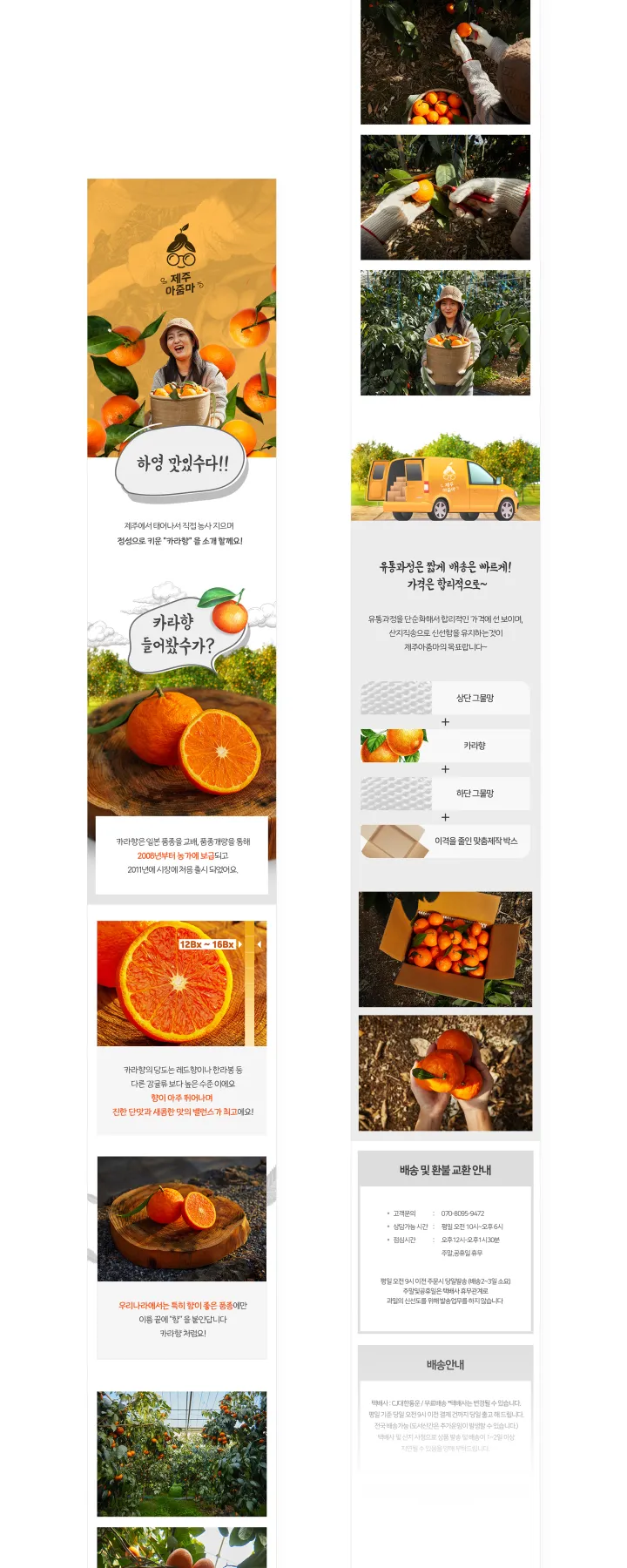 농수산물 카테고리 디자인, 제주아줌마 카라향