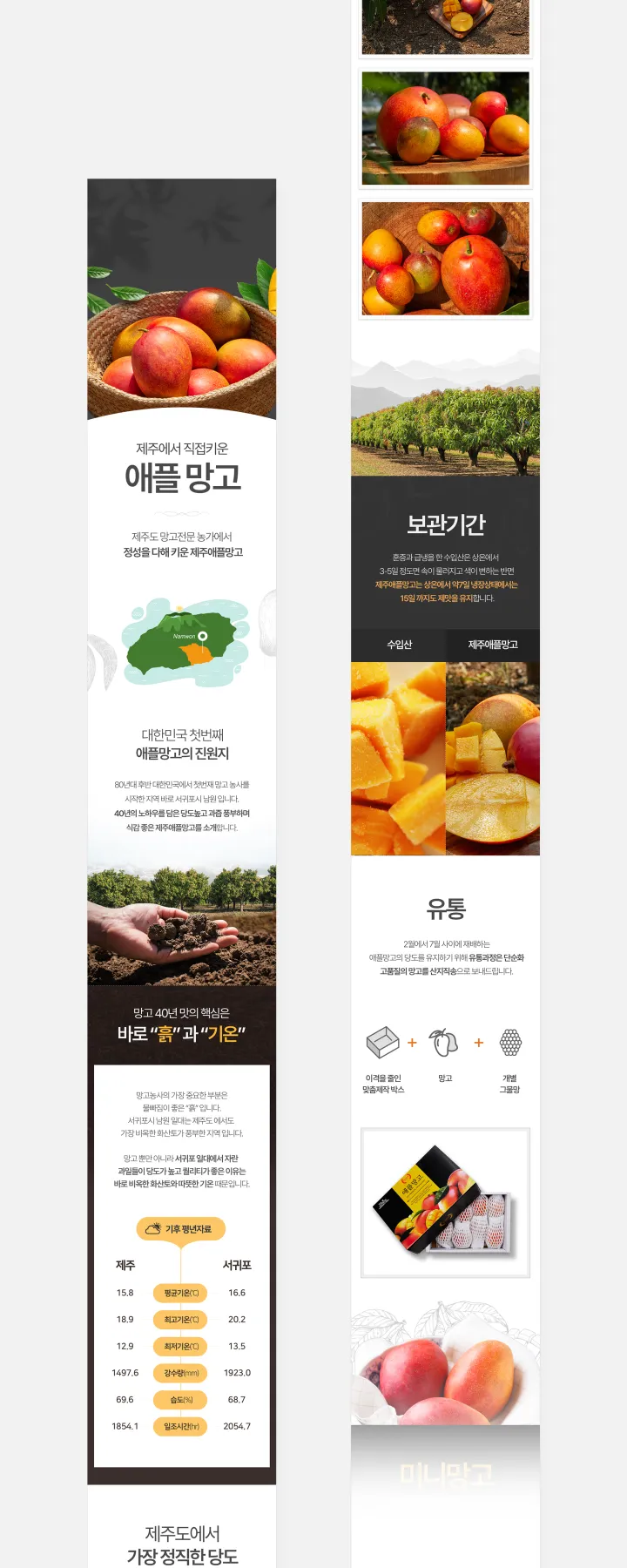 농수산물 카테고리 디자인, 제주도농수산 망고
