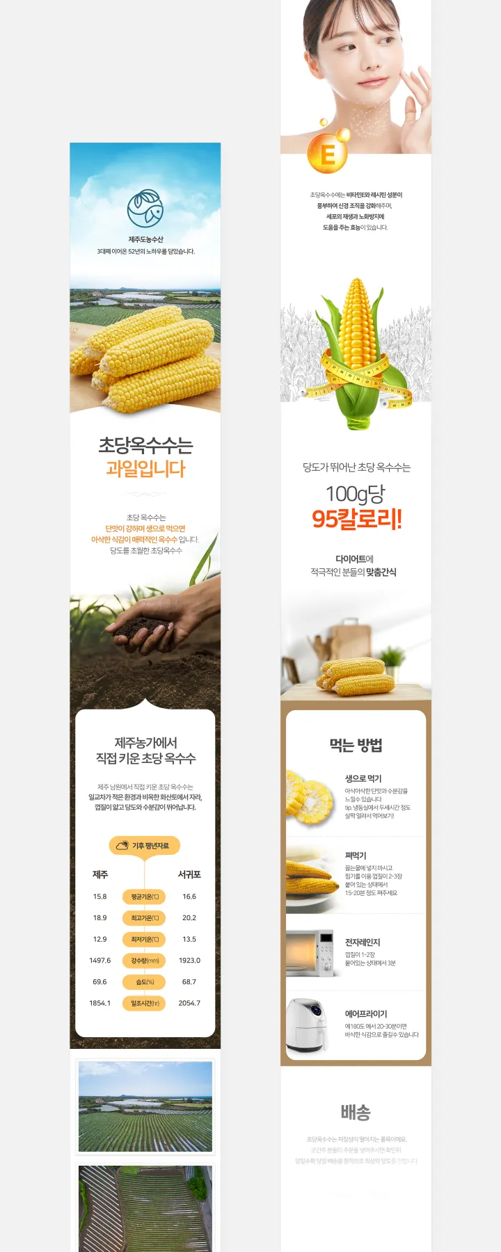 농수산물 카테고리 디자인, 제주도농수산 초당옥수수