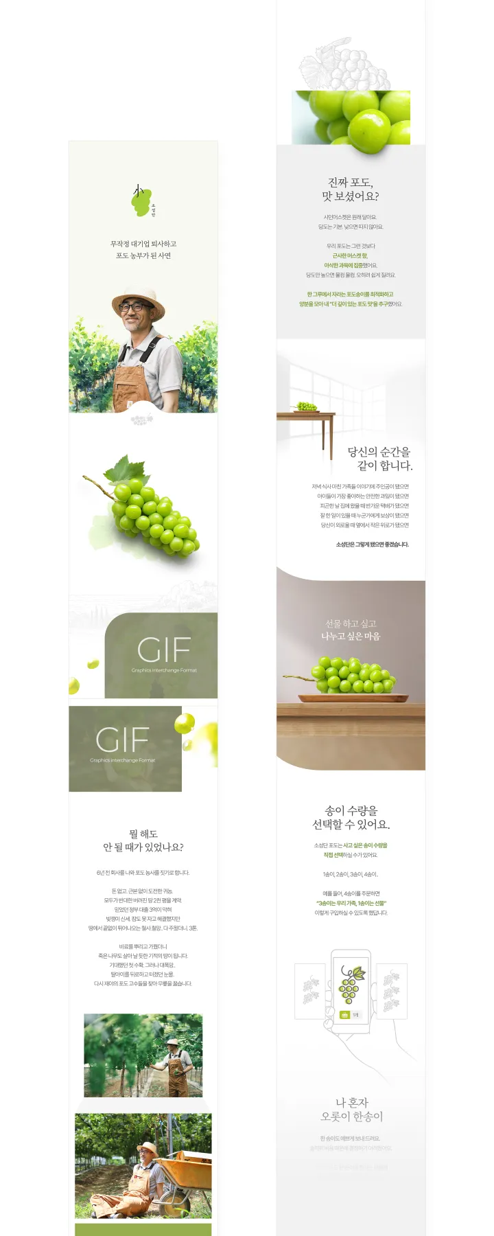 농수산물 카테고리 디자인, 소성단포도
