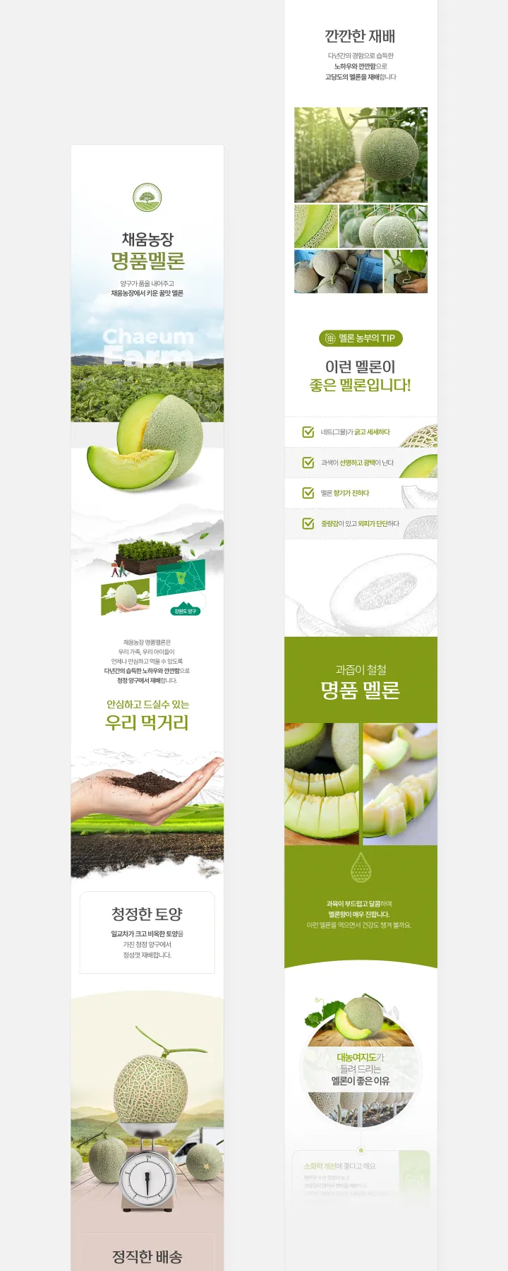 농수산물 카테고리 디자인, 멜론