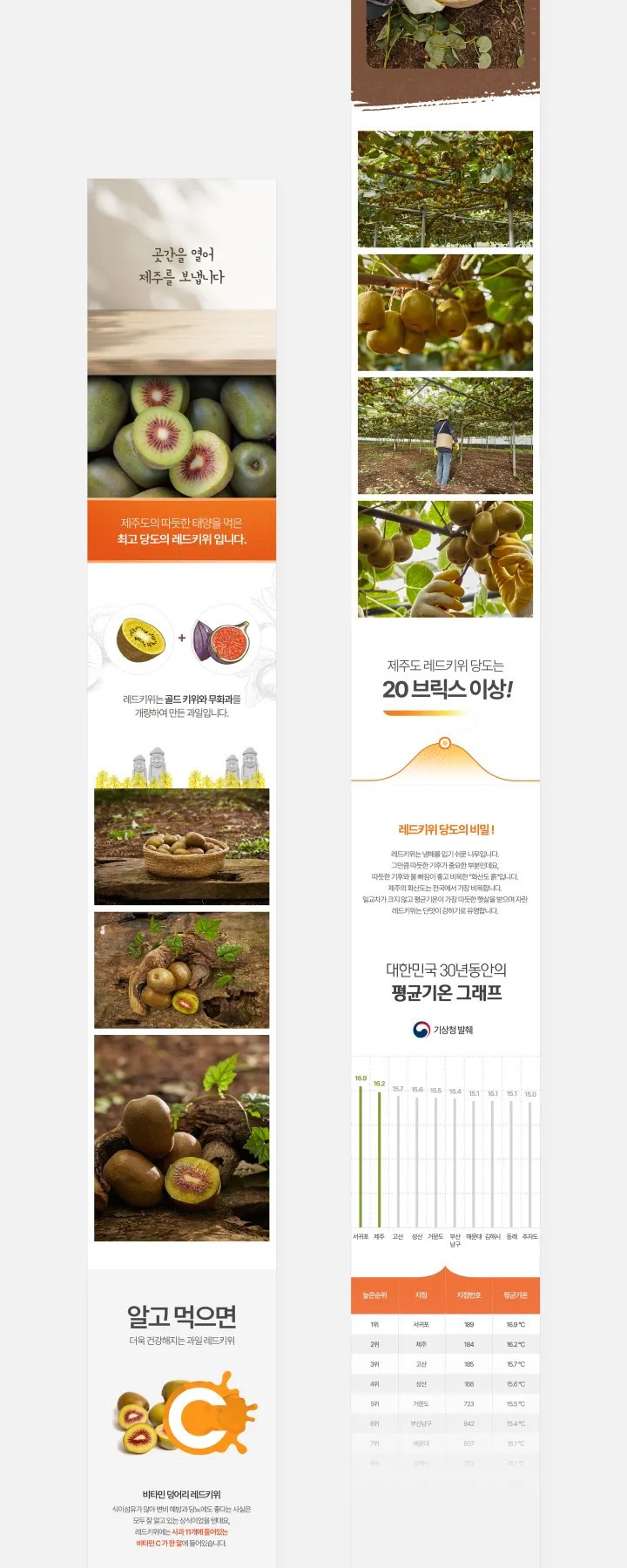 농수산물 카테고리 디자인, 섬곳간 레드키위