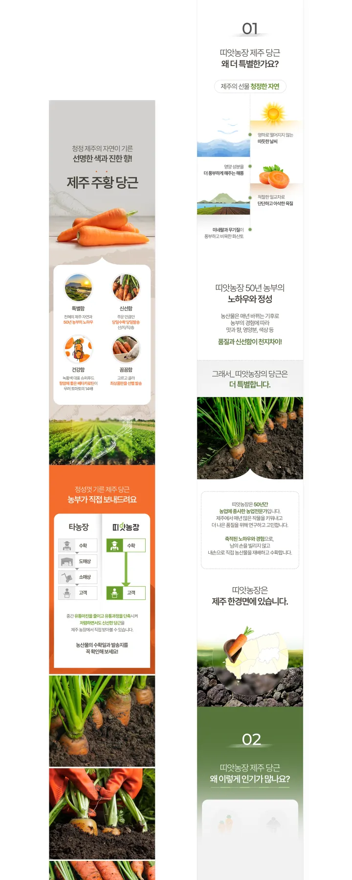 농수산물 카테고리 디자인, 당근