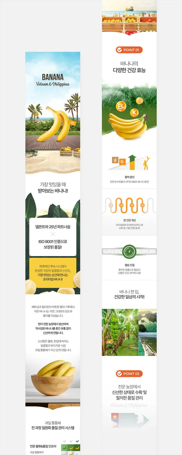 과일통통배 Banana Vietnam & Philippines 상세페이지. 하늘색과 노란색 배경에 야자수와 바나나 메인컷, 델몬트 25년 파트너쉽과 ISO 9001 인증, 효능 3가지 아이콘 구성