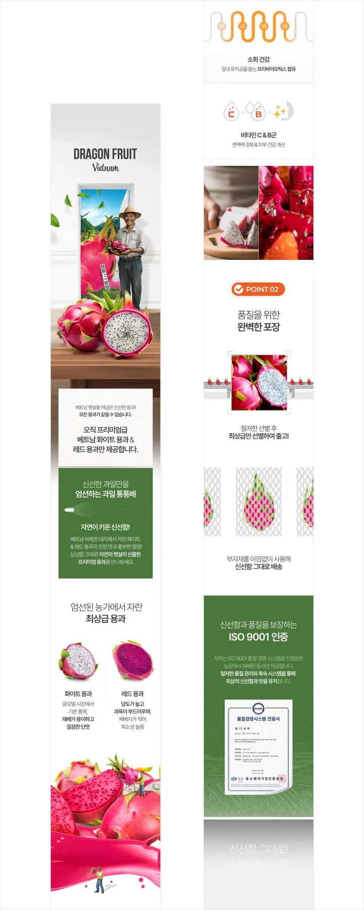 과일통통배 Dragon Fruit Vietnam 상세페이지. 핑크와 그린 톤 배경에 농부 사진과 화이트·레드 용과, 품질 선별 과정 그래픽, ISO 9001 인증 구성
