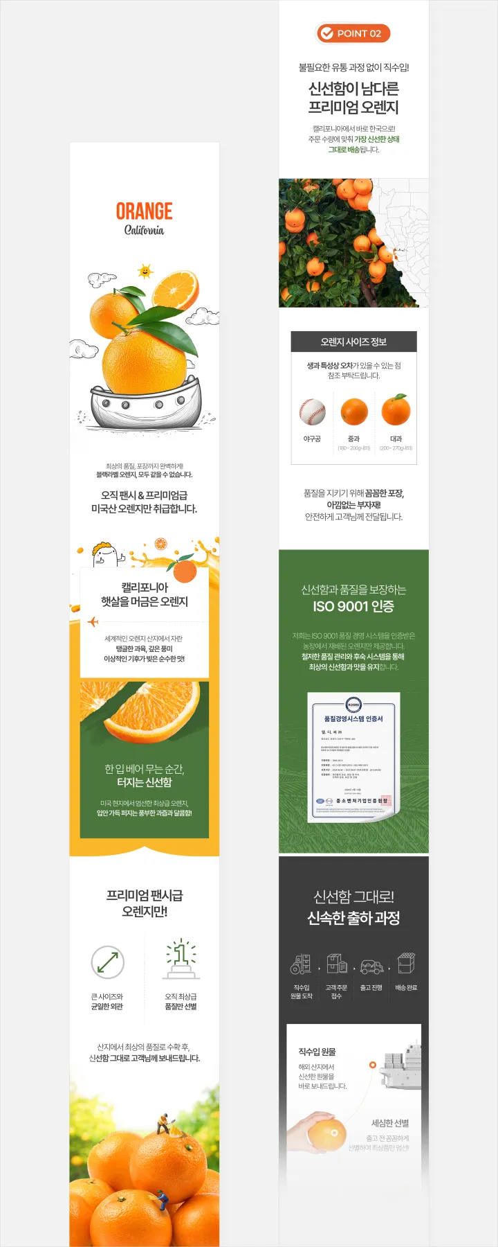 과일통통배 California Orange 상세페이지. 아이보리와 오렌지 포인트 배경에 통통배 일러스트와 오렌지 3개, 팬시 프리미엄 등급과 ISO 9001 인증, 오렌지 사이즈 비교 구성