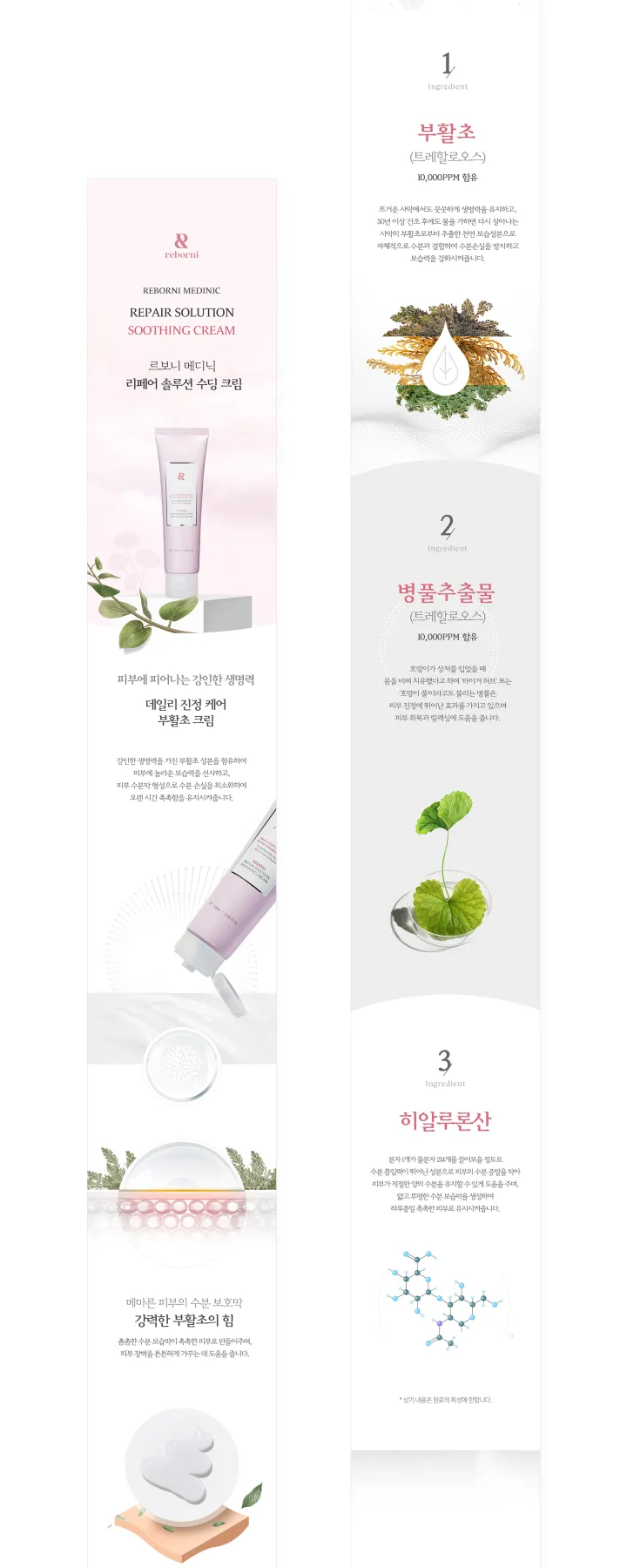 뷰티/화장품 카테고리 디자인, 르보니 부활초크림