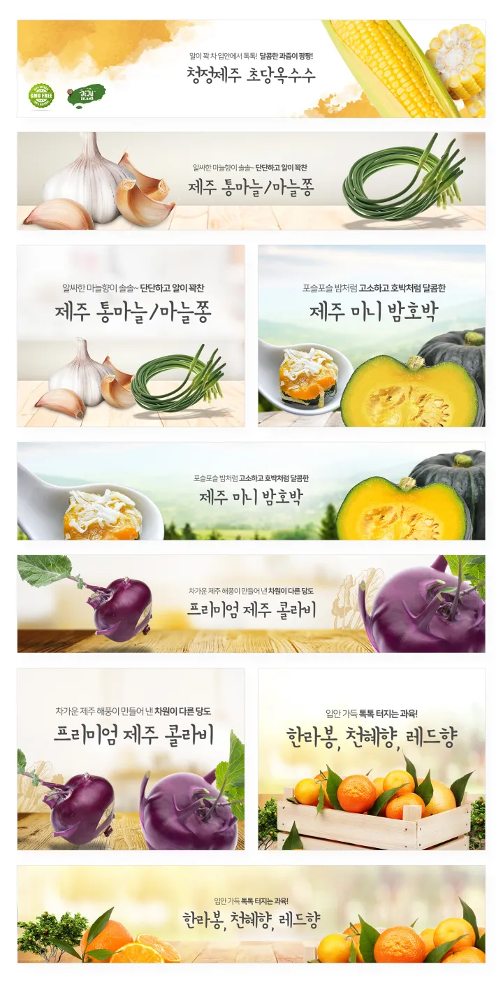 기타 카테고리 디자인, 배너6종