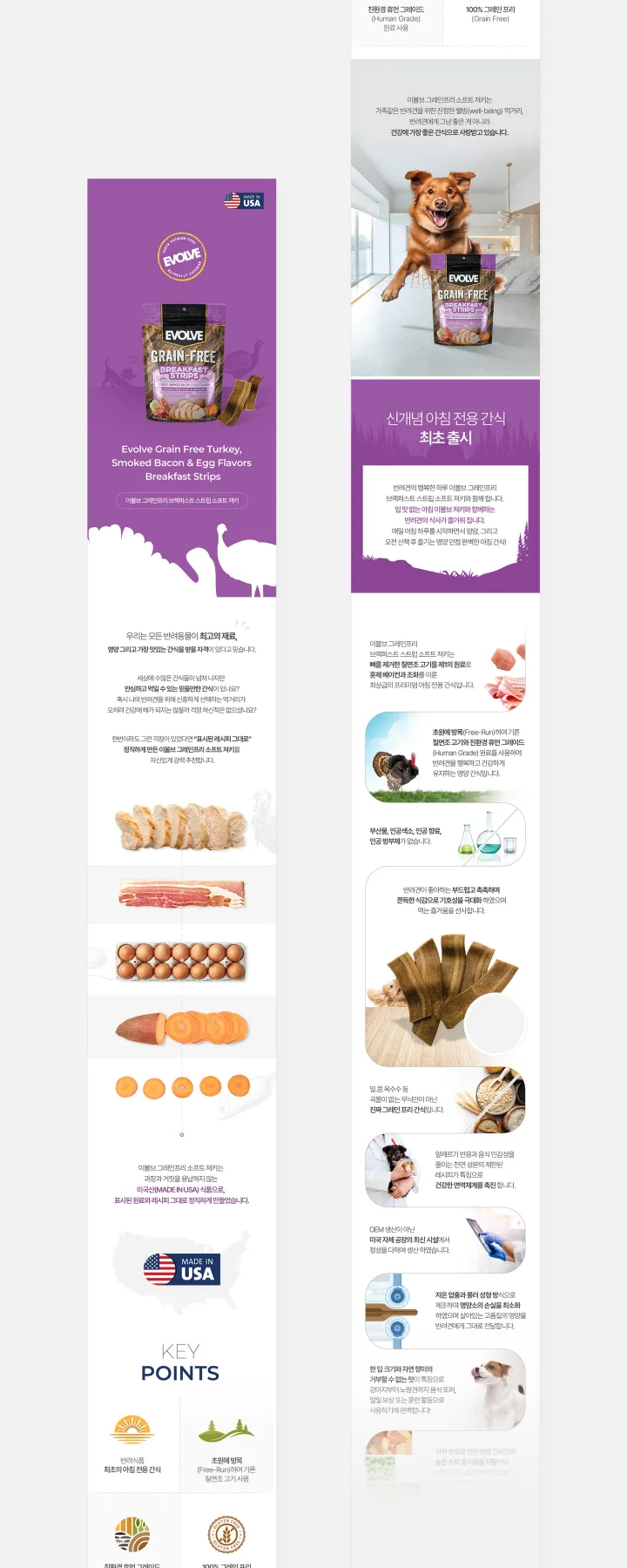 건강/헬스케어 카테고리 디자인, 이볼브그레인프리브랙퍼스트