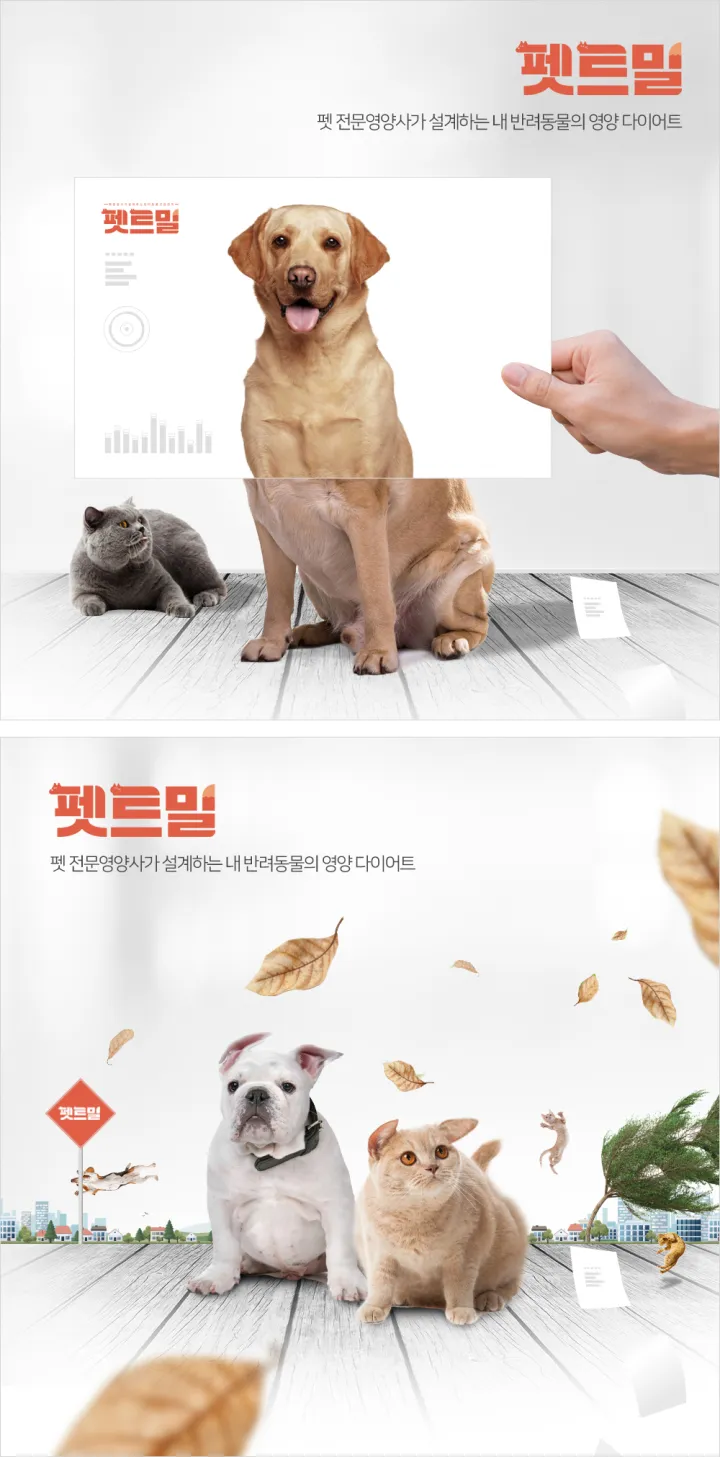 반려동물 카테고리 디자인, 펫트밀 썸네일