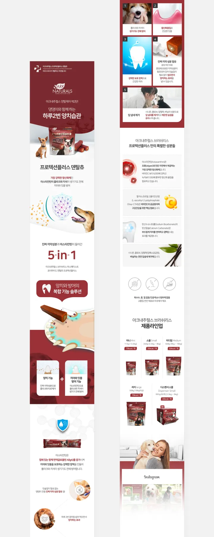 반려동물 카테고리 디자인, 프로텍션플러스 덴탈츄