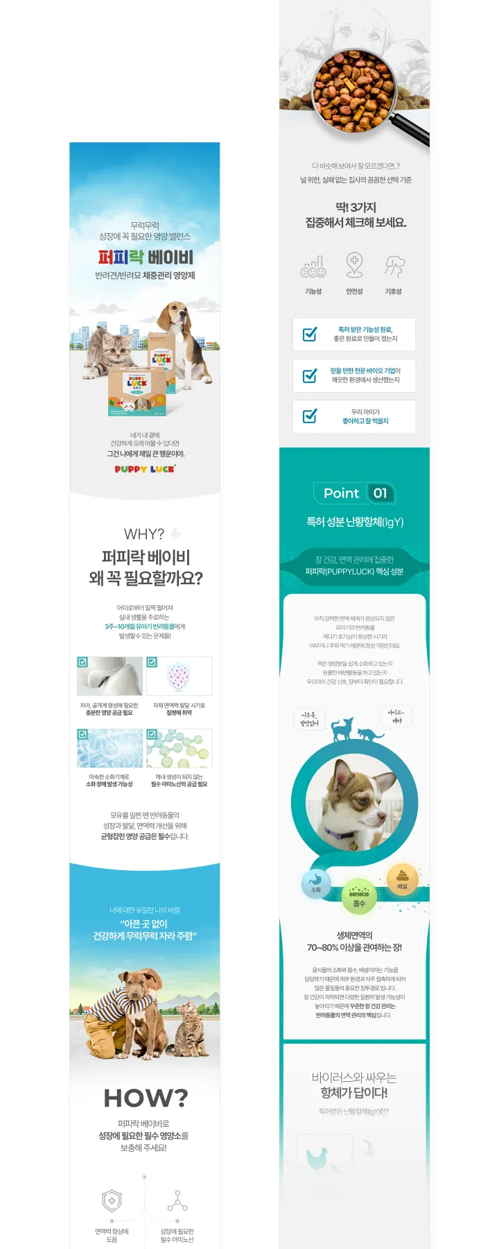 반려동물 카테고리 디자인, 퍼피락