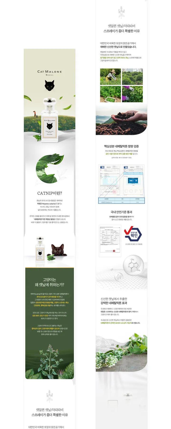 반려동물 카테고리 디자인, 캣말론