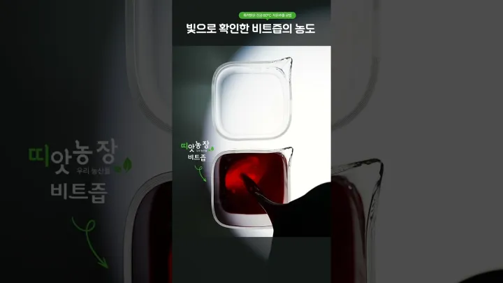 비트즙 영상